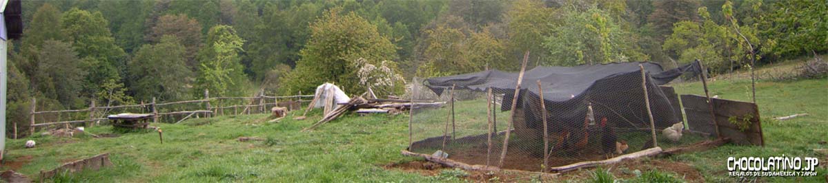 Chocolatino æã®è¨é² Chocolatino ã©ãã³ã®é¢¨ chocolatino æã®è¨é² chocolatino ã©ãã³ã®é¢¨